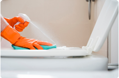 Toilet Cleaning in Melbourne