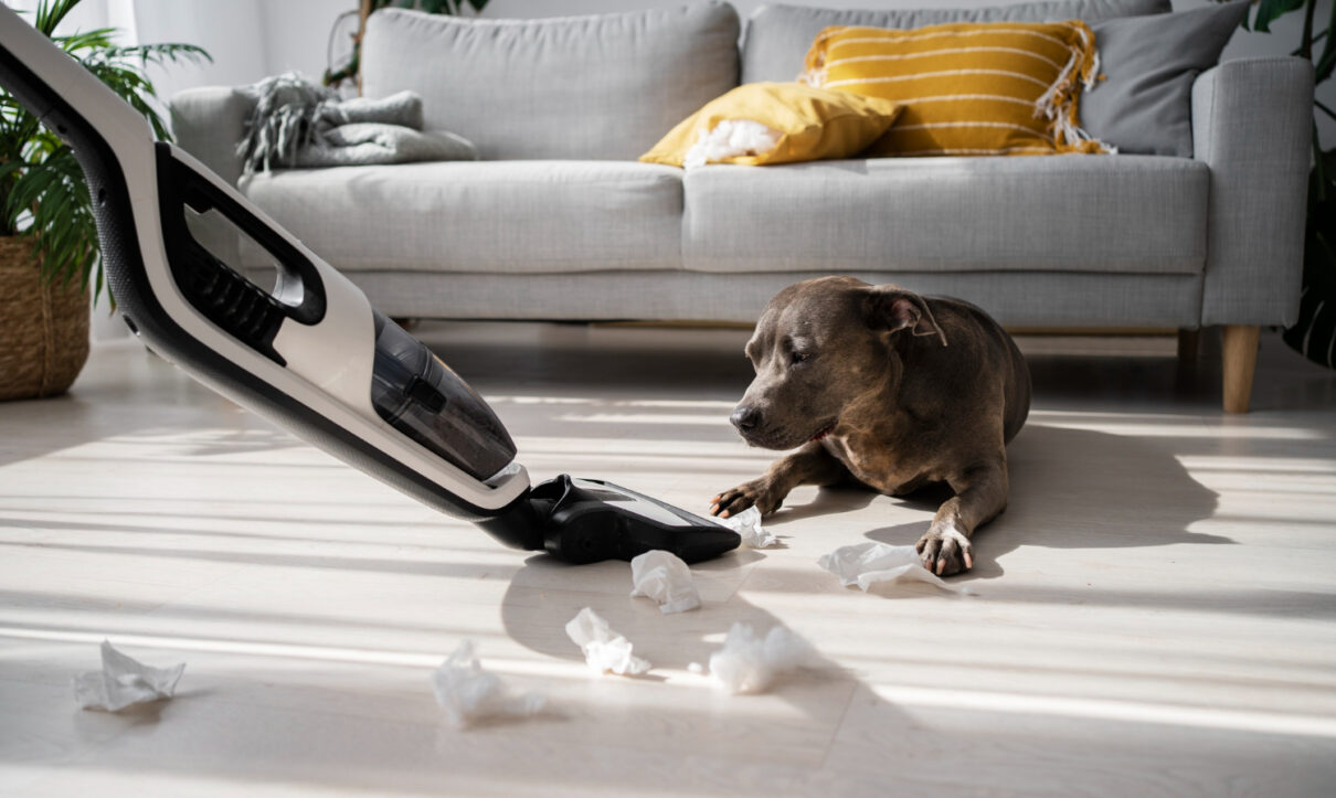 Pet-friendly options for end of lease cleaning